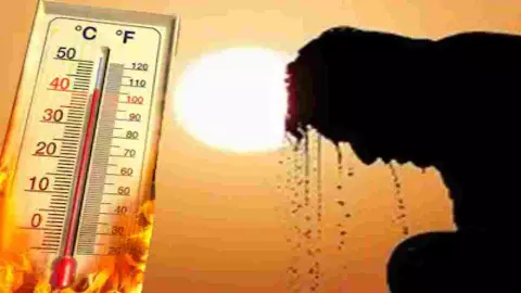 Impact of Heatstroke in India