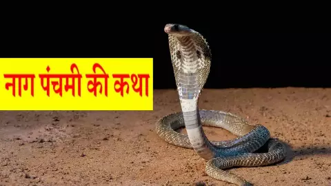 Nag Panchami Katha :नाग पंचमी के दिन जरूर सुने कथा, शुभ मुहूर्त में पूजा के साथ इस कहानी को सुनने से होगा कल्याण Nag Panchami Katha :नाग पंचमी के दिन जरूर सुने कथा, शुभ मुहूर्त में पूजा के साथ इस कहानी को सुनने से होगा कल्याण