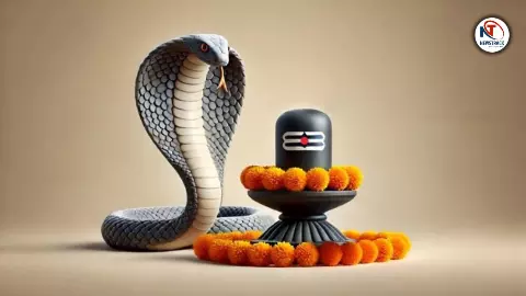 Nag Panchami 2025 Importance and Benefits Nag Panchami 2025 Importance and Benefits