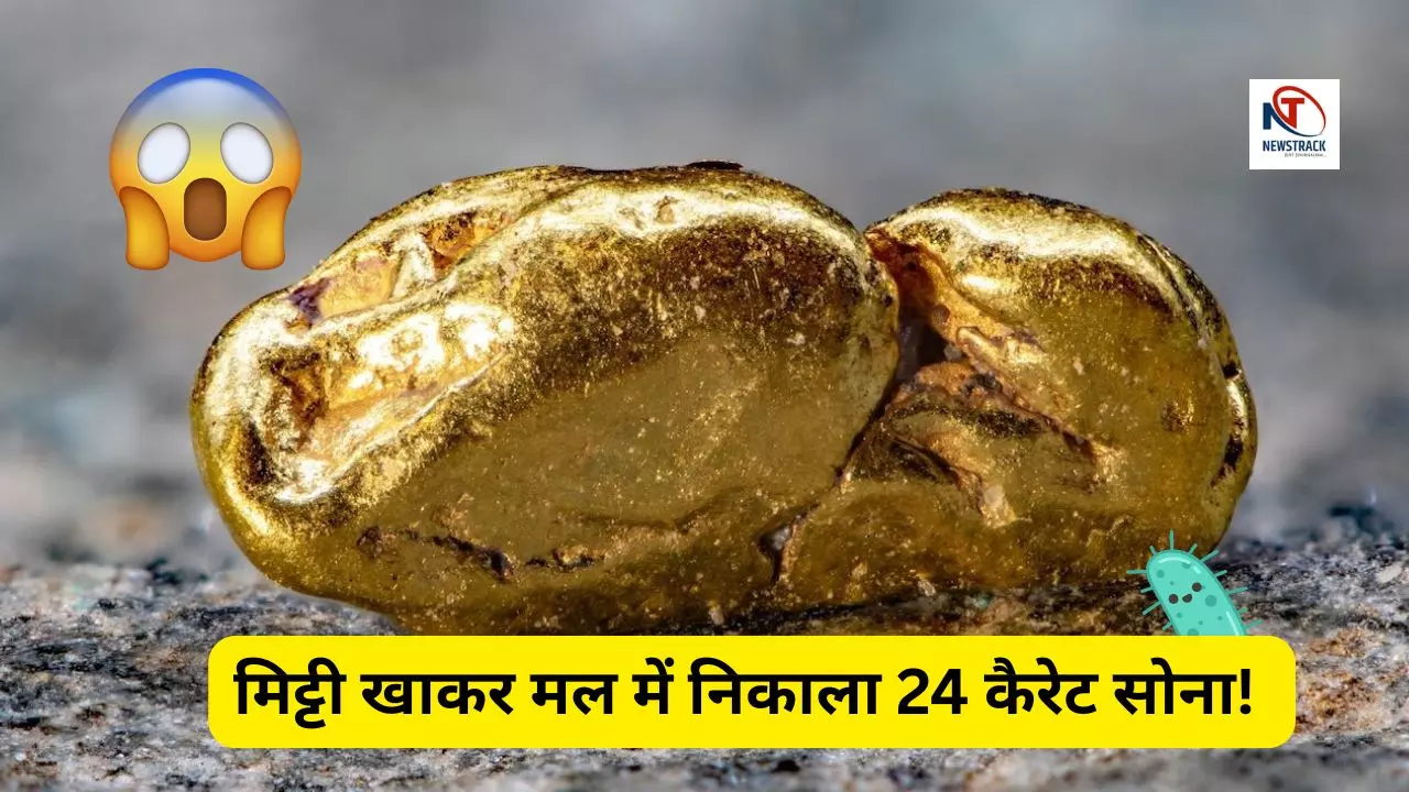 Bacteria That Transform Toxins into Pure Gold Discovered