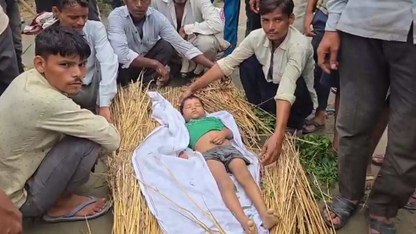 7-year-old Dhiraj dies of snake bite in village Pingari