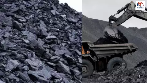 4000 tons of coal disappeared from Meghalaya court raised questions! Minister said Rain reason 4000 tons of coal disappeared from Meghalaya court raised questions! Minister said Rain reason