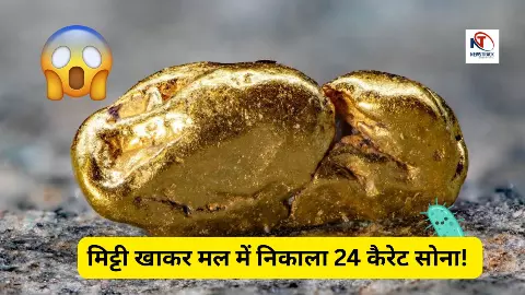 Bacteria That Transform Toxins into Pure Gold Discovered