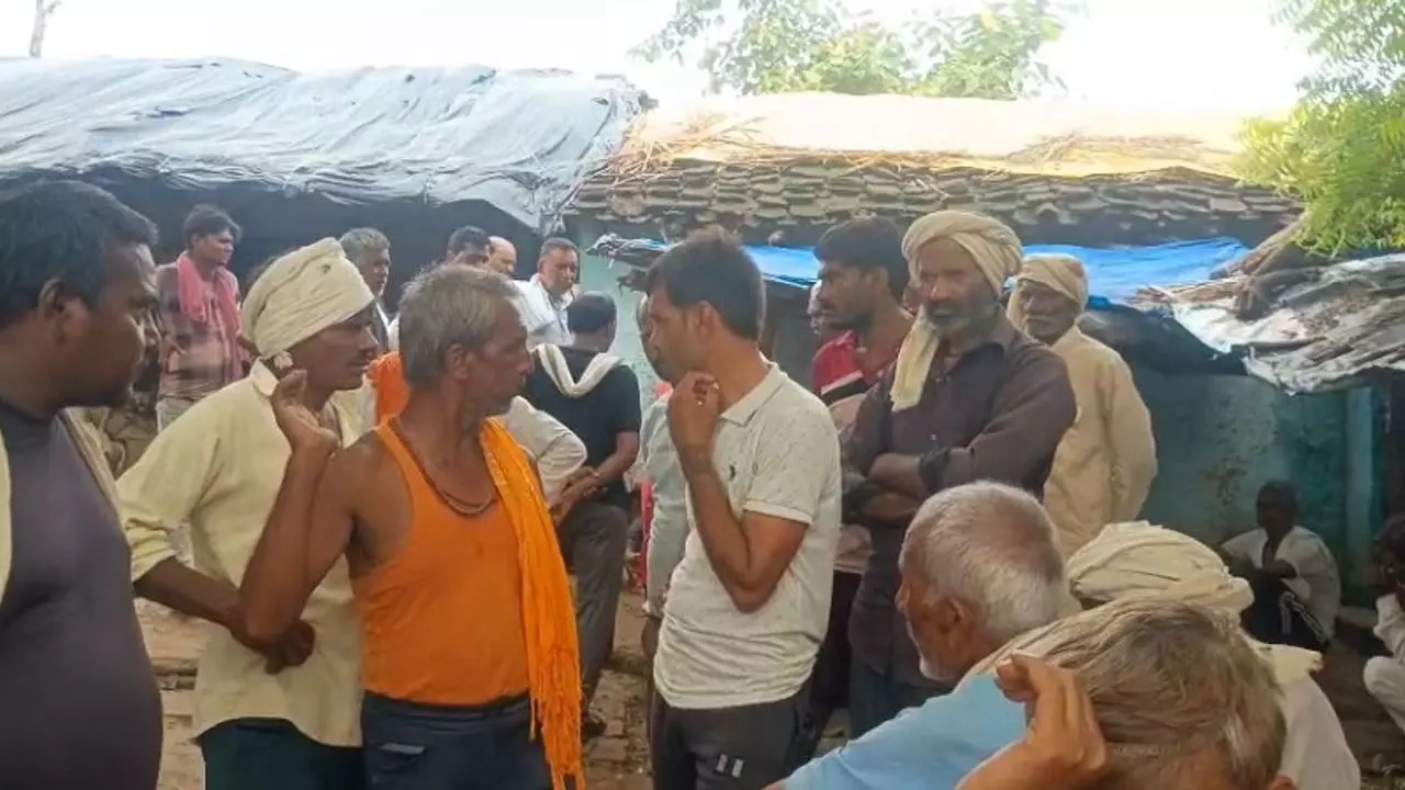 Jalaun News: घर में सो रहे दंपत्ति को सांप ने काटा, दोनों की मौत