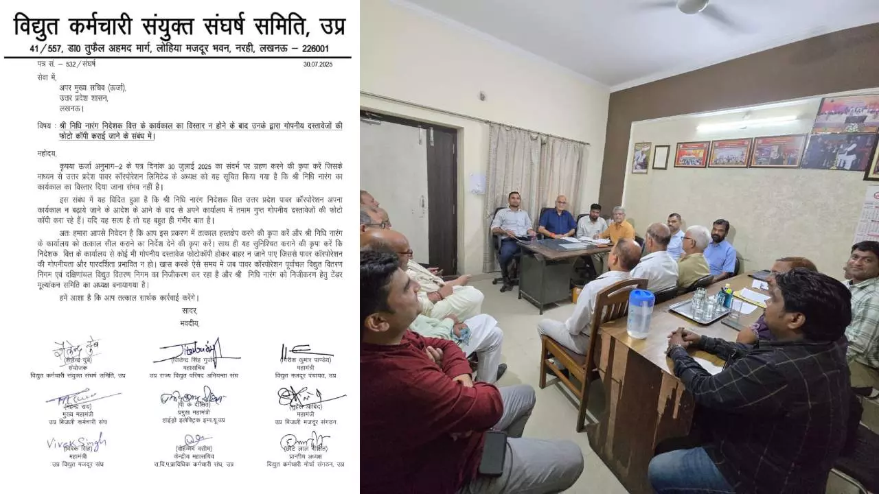 Uttar Pradesh Electricity Privatization