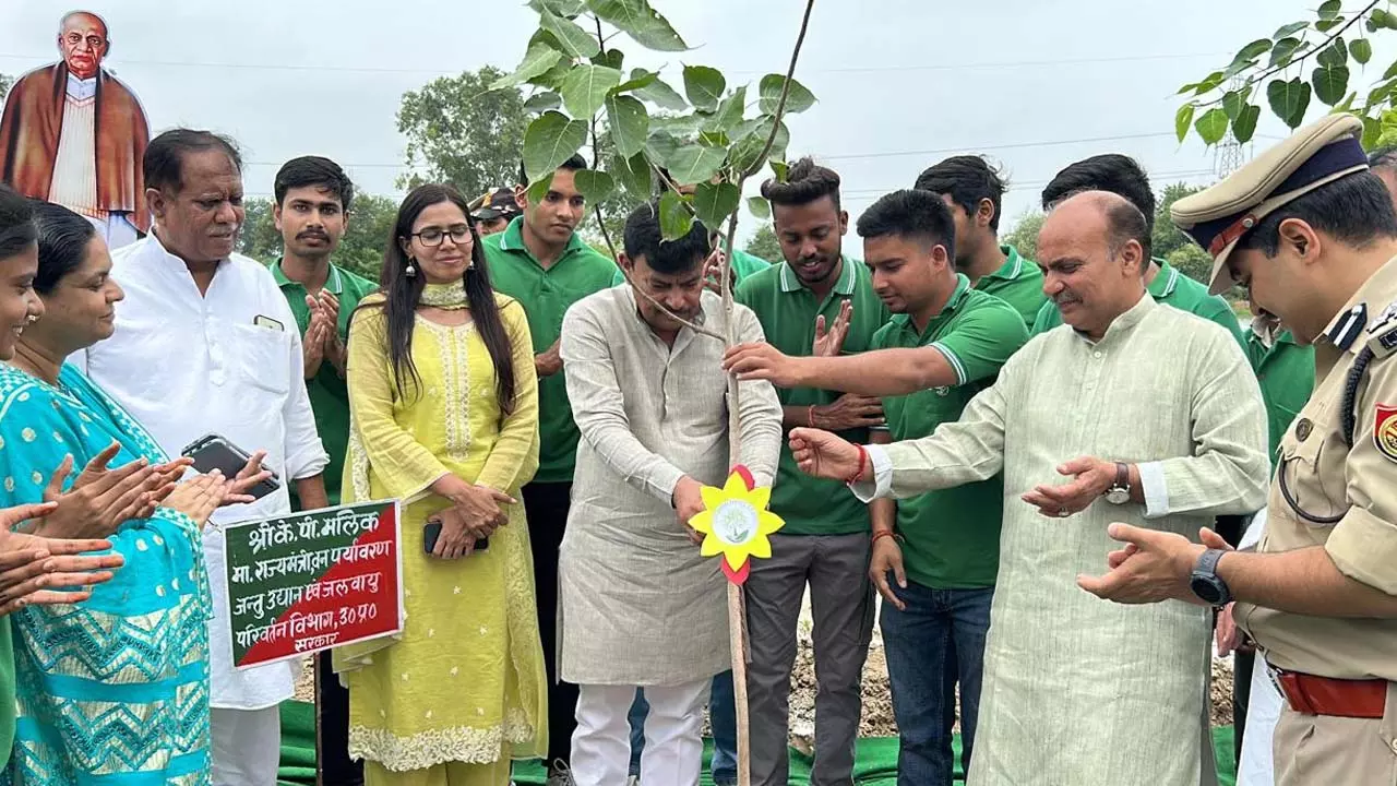 Confluence of greenery and patriotism in Unity Forest, emotional message given by tying trees