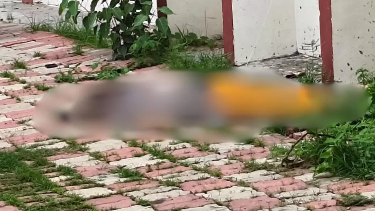 IIT BHU Professor Wife Suicide