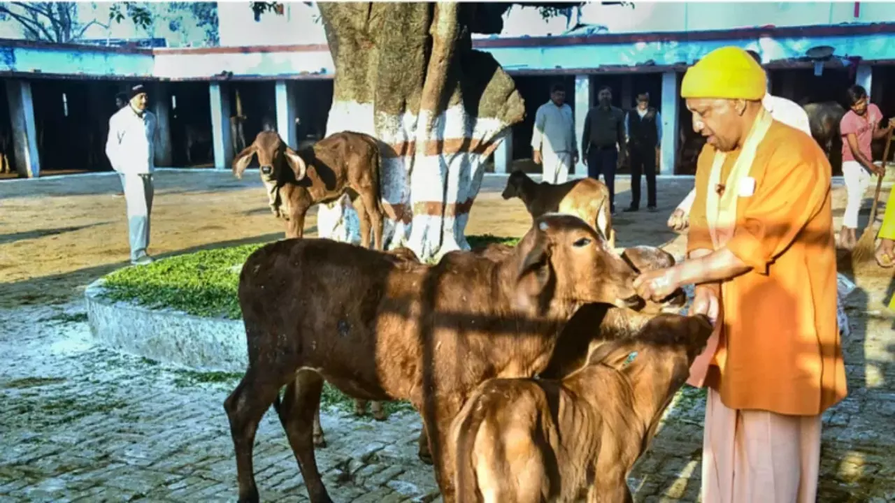 Uttar Pradesh News