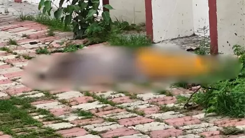 IIT BHU Professor Wife Suicide IIT BHU Professor Wife Suicide