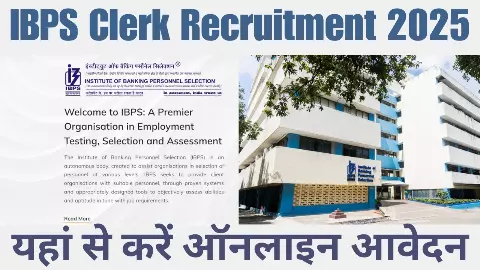 IBPS Clerk Recruitment 2025 eligibility selection process exam pattern IBPS Clerk Recruitment 2025 eligibility selection process exam pattern