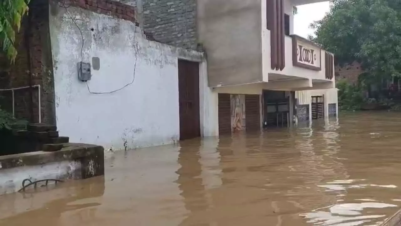 Hamirpur News: यमुना और बेतवा नदियों ने दिखाया रौद्र रूप, हमीरपुर में हाई अलर्ट जारी