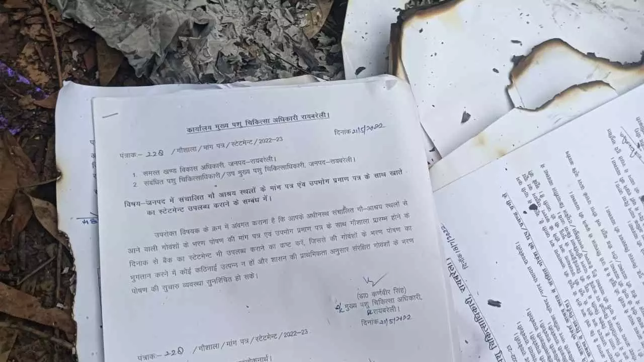 Raebareli News: रायबरेली विकास भवन में पशुपालन विभाग की 40 से अधिक फाइलें जलाने का मामला, अधिकारियों ने पल्ला झाड़ा, जांच की उठी मांग Raebareli News: रायबरेली विकास भवन में पशुपालन विभाग की 40 से अधिक फाइलें जलाने का मामला, अधिकारियों ने पल्ला झाड़ा, जांच की उठी मांग