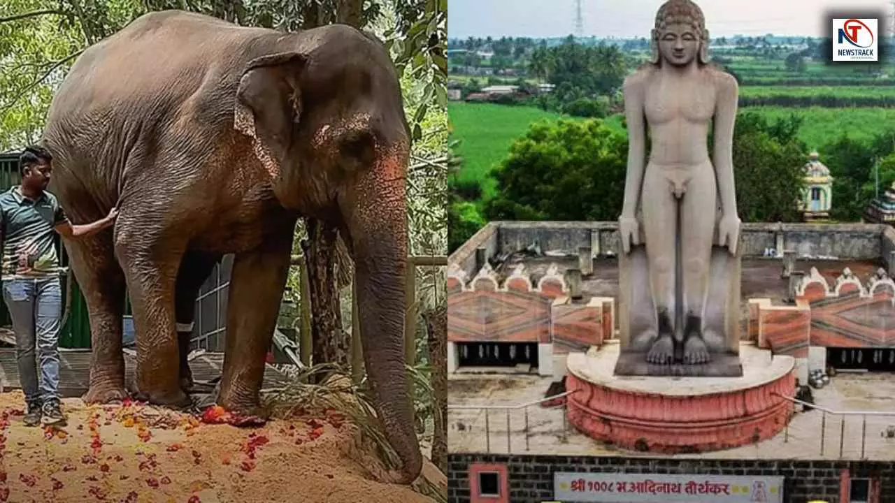 Elephant Mahadevi Controversy: 1200 साल पुराना नंदनी मठ क्यों आया विवादों में? जानिए इतिहास और पूरा मामला
