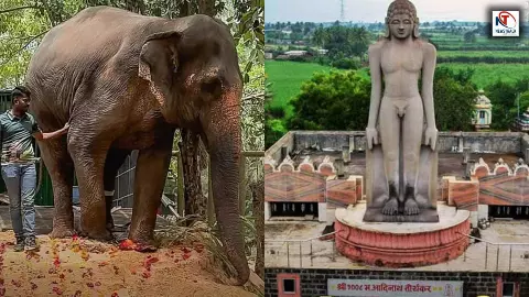 Elephant Mahadevi Controversy: 1200 साल पुराना नंदनी मठ क्यों आया विवादों में? जानिए इतिहास और पूरा मामला Elephant Mahadevi Controversy: 1200 साल पुराना नंदनी मठ क्यों आया विवादों में? जानिए इतिहास और पूरा मामला