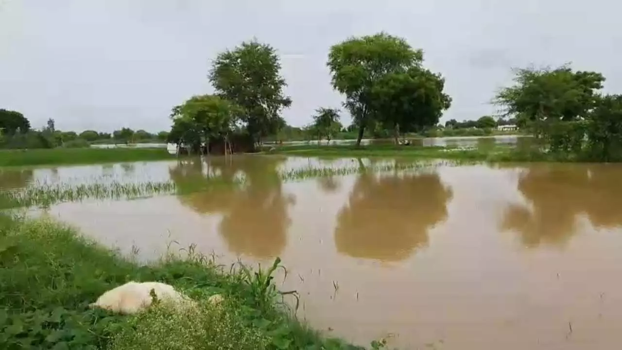 Chandauli News: गंगा का जलस्तर खतरे के निशान को हुआ पार,लोगों की बढ़ी मुश्किलें,पलायन को लोग हुए मजबूर