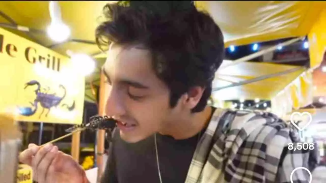 Netizens Slams Ahaan Panday Netizens Slams Ahaan Panday