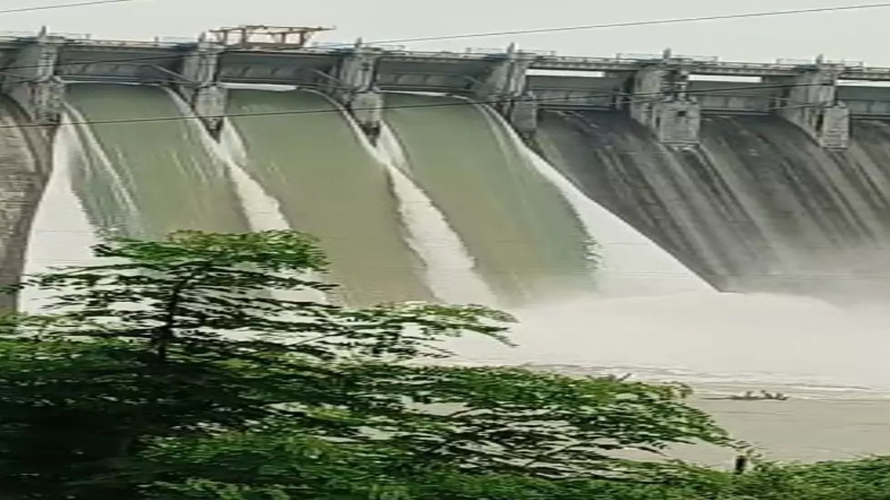 Sonbhadra News: लगातार बारिश से नदी-नालों में उफान, रिहंद डैम के खोले गए तीन फाटक,  ओबरा के दो गेट खुले, सोनभद्र से पटना तक अलर्ट