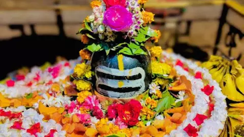 Chitrakoot News: सावन की अंतिम सोमवार में राजाधिराज मत्तगयेन्द्रनाथ सहित सभी शिवालयों में गूंज रहा हर हर महादेव Chitrakoot News: सावन की अंतिम सोमवार में राजाधिराज मत्तगयेन्द्रनाथ सहित सभी शिवालयों में गूंज रहा हर हर महादेव