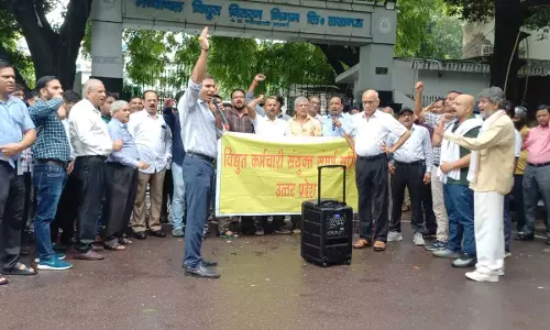 Electricity Privatization Protest
