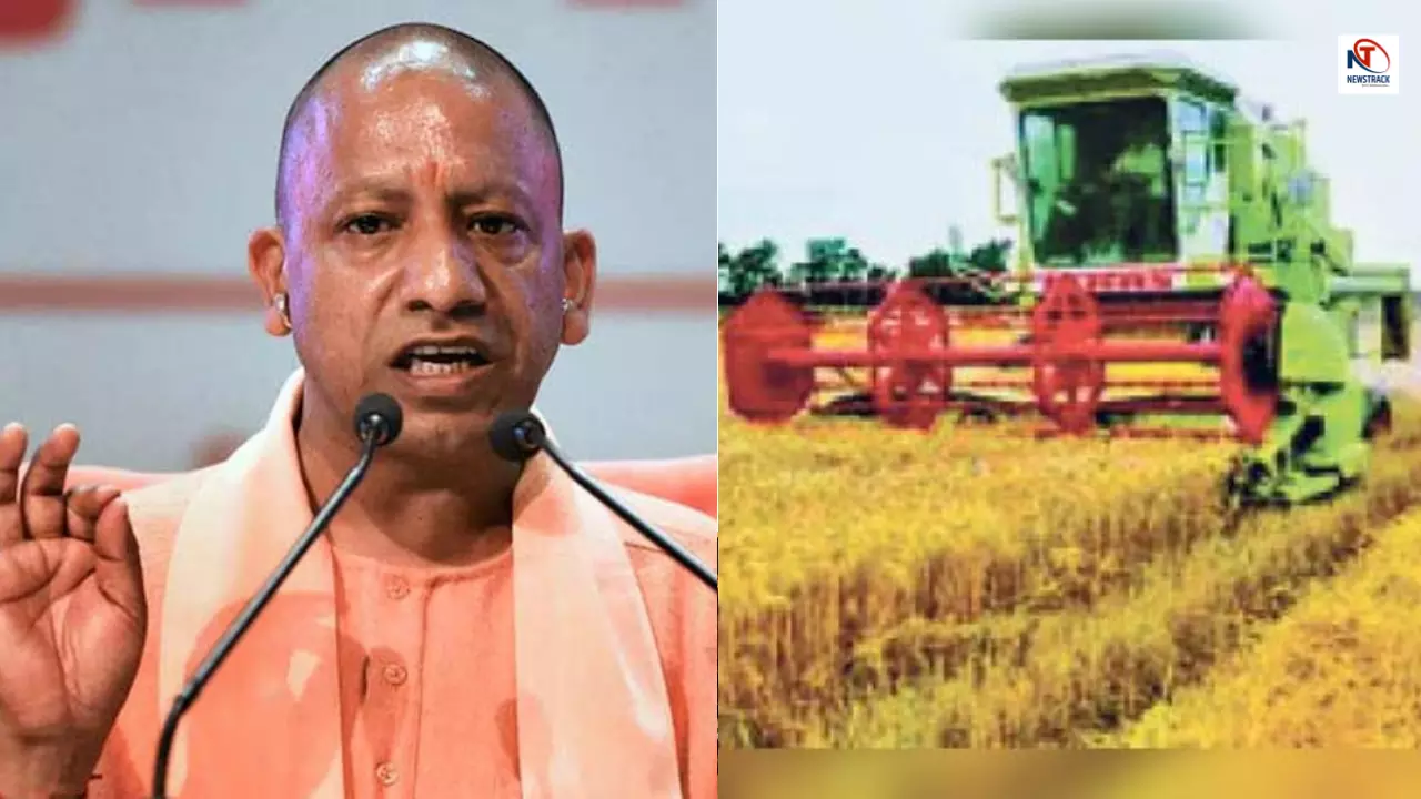 Yogi government