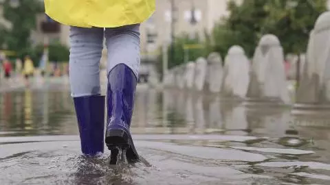 Flood-related diseases Flood-related diseases