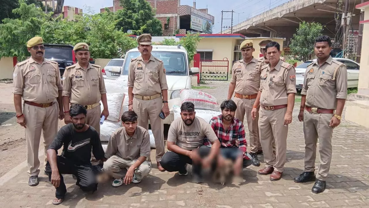 Four members arrested for smuggling opium poppy