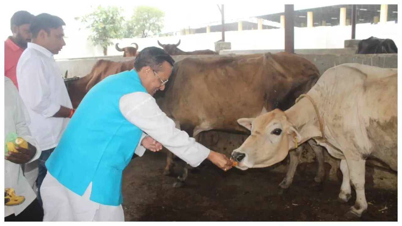 Meerut News: गऊ सेवा से मनाया जन्मदिन, मां की पुण्यतिथि पर विनीत शारदा हुए भावुक – बोले, राष्ट्र माता हैं गाय, सेवा है धर्म
