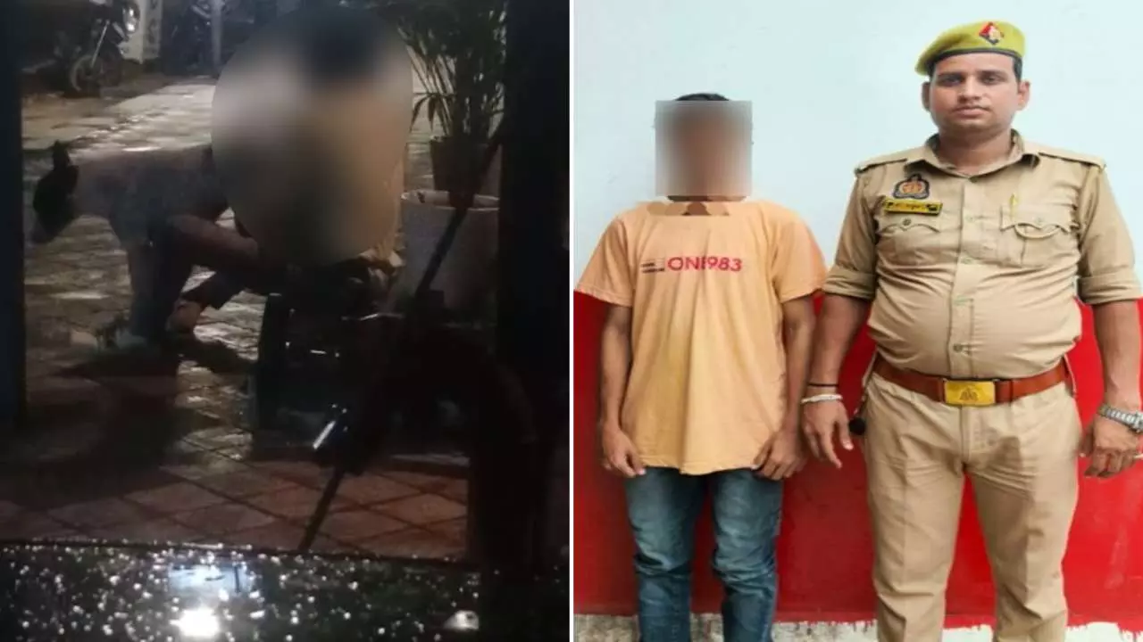 रात के अंधेरे में स्ट्रीट डॉग से रेप... FIR दर्ज होते ही लखनऊ पुलिस ने आरोपी को किया गिरफ्तार, दरिंदगी का वीडियो हुआ था वायरल