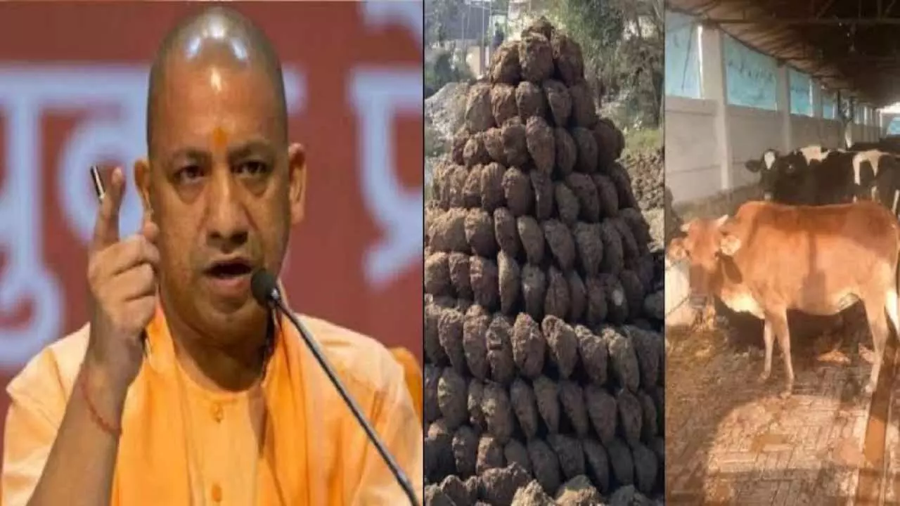 UP News: एक गाय के गोबर से 5500 किलोमीटर बिना प्रदूषण फैलाए चलेगी कार