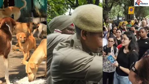 Delhi animal rights protest: दिल्ली में डॉगी ड्रामा! SC के आदेश पर भड़की सियासत, इंडिया गेट पर छिड़ा सड़क से संसद तक का संग्राम Delhi animal rights protest: दिल्ली में डॉगी ड्रामा! SC के आदेश पर भड़की सियासत, इंडिया गेट पर छिड़ा सड़क से संसद तक का संग्राम