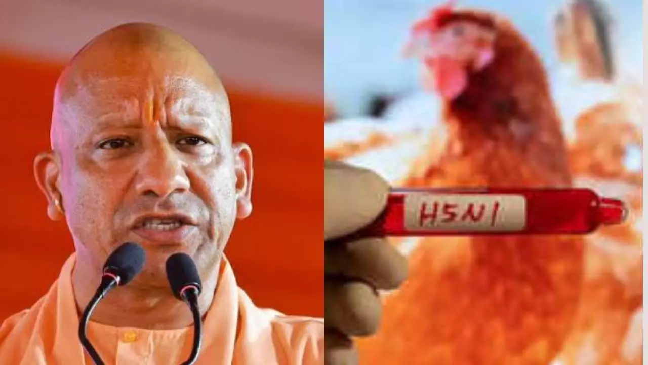 H5 एवियन इंफ्लुएंजा को लेकर सीएम योगी ने दिए जरूरी निर्देश: अब पोल्ट्री फार्मों की मानकों के अनुरूप होगी विशेष निगरानी