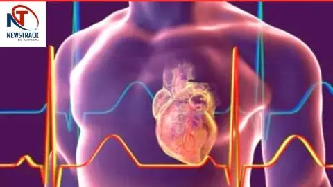 Vitamin K1 for heart