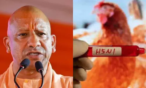 H5 एवियन इंफ्लुएंजा को लेकर सीएम योगी ने दिए जरूरी निर्देश: अब पोल्ट्री फार्मों की मानकों के अनुरूप होगी विशेष निगरानी