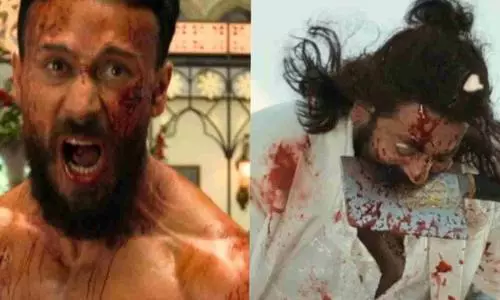 Baaghi 4 Review