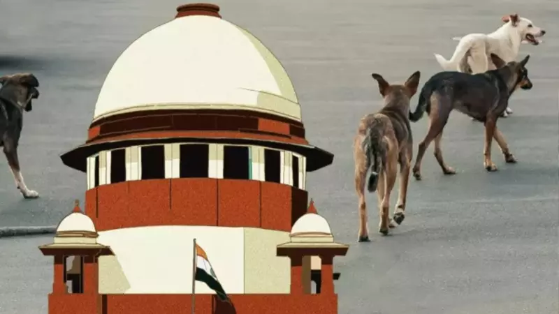 ‘मैं देखूंगा मामला...’ दिल्ली-एनसीआर आवारा कुत्तों के पुनर्वास पर CJI बीआर गवई ने जताई संवेदनशीलता