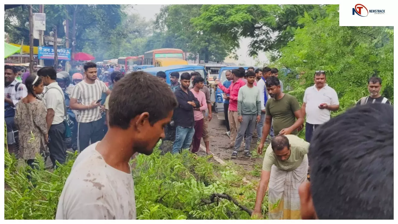 बाराबंकी में फिर टला बड़ा हादसा: हालिया बस दुर्घटना के बाद सड़क पर गिरा विशालकाय पेड़