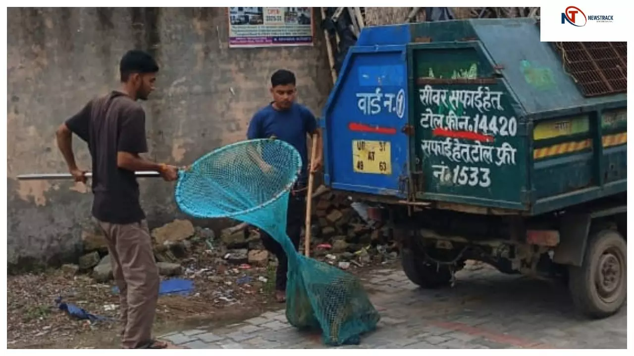 Hapur News: कुत्ते पकड़वाने का अभियान शुरू, पहले दिन पकड़े गए 15 कुत्ते