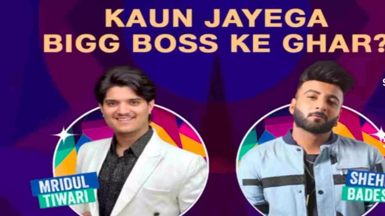 Bigg Boss 19 Contestants