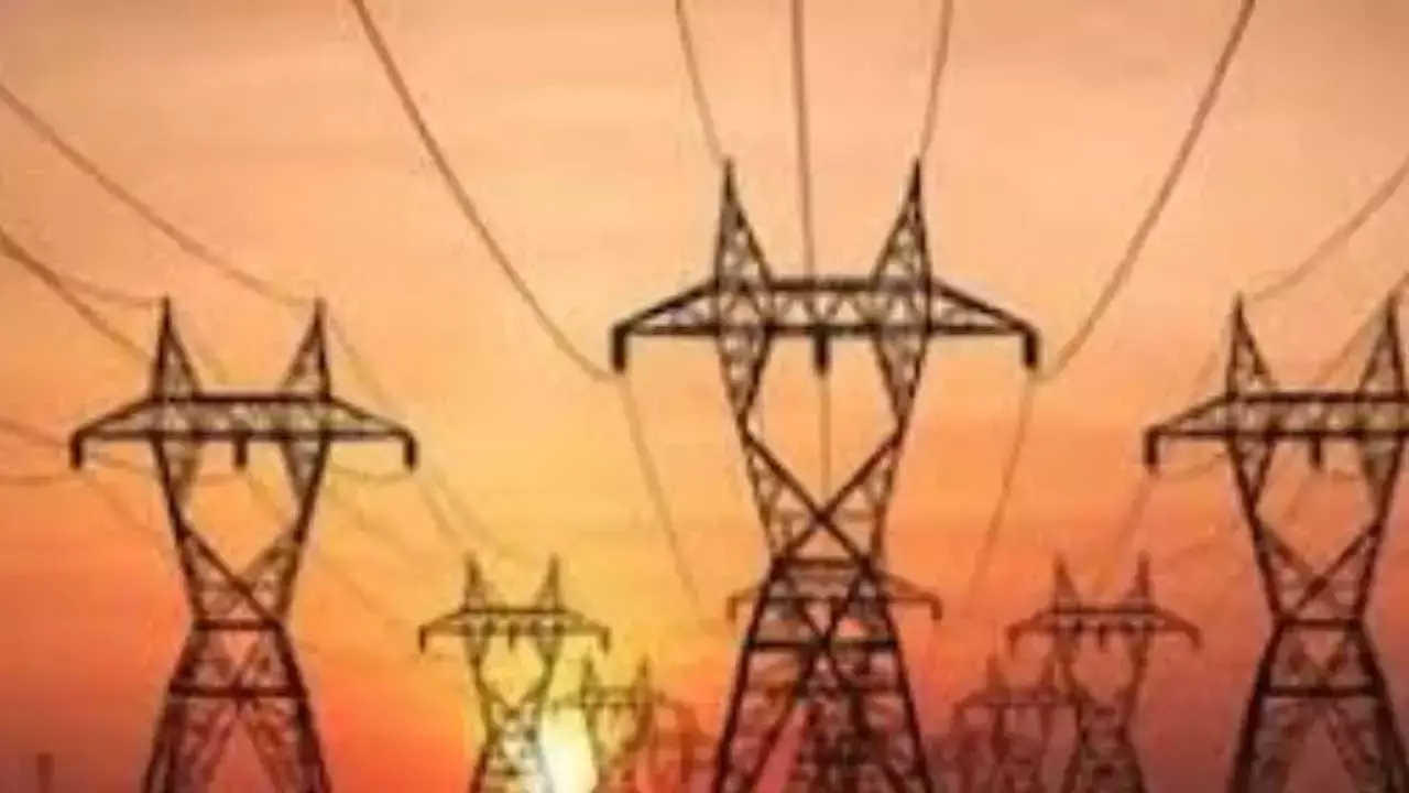 Consumer council on electricity privatization
