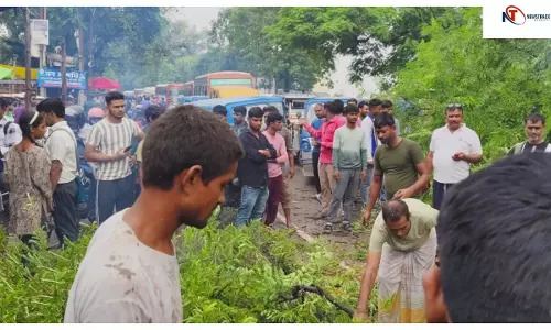 बाराबंकी में फिर टला बड़ा हादसा: हालिया बस दुर्घटना के बाद सड़क पर गिरा विशालकाय पेड़