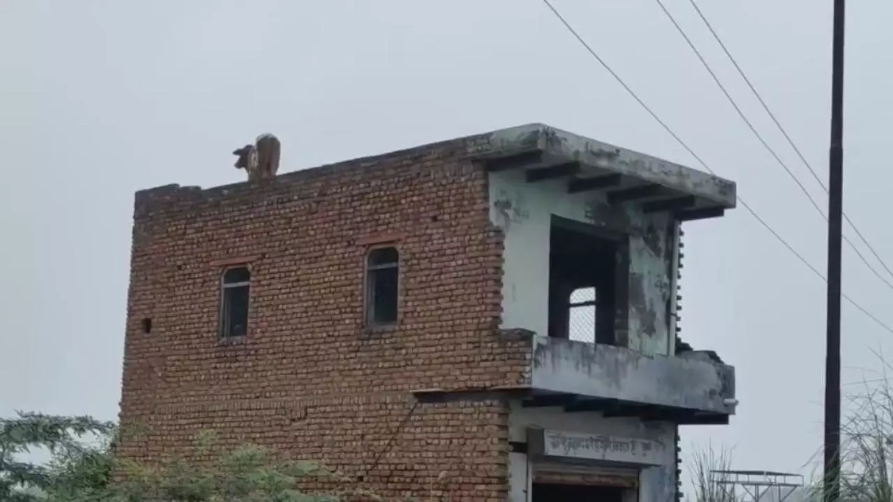 Mathura News: दूसरी मंज़िल पर चढ़ा सांड, मथुरा के अड़ींग गांव में मचा हड़कंप