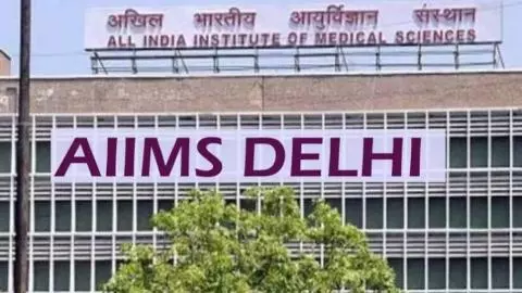 AIIMS Delhi OPD IPD data