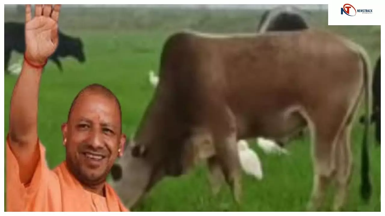 गो-सेवा से तरक्की करेगा यूपी ! गांव-गांव टेक्निकल सपोर्ट देगी पतंजलि, बदलेगा किसानों का जीवन