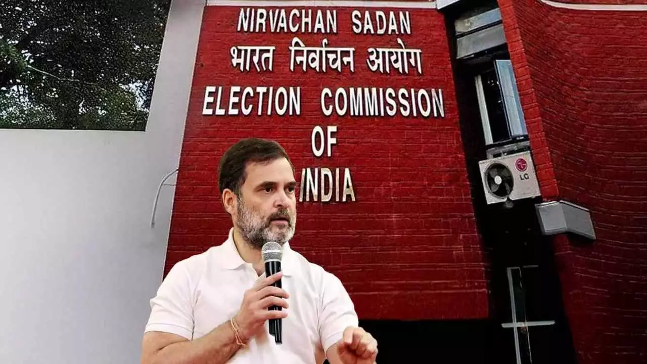 राहुल गांधी ने EC को दिखाया आईना! प्रेस कांफ्रेंस के बाद किया पलटवार, वीडियो से दिया जवाब