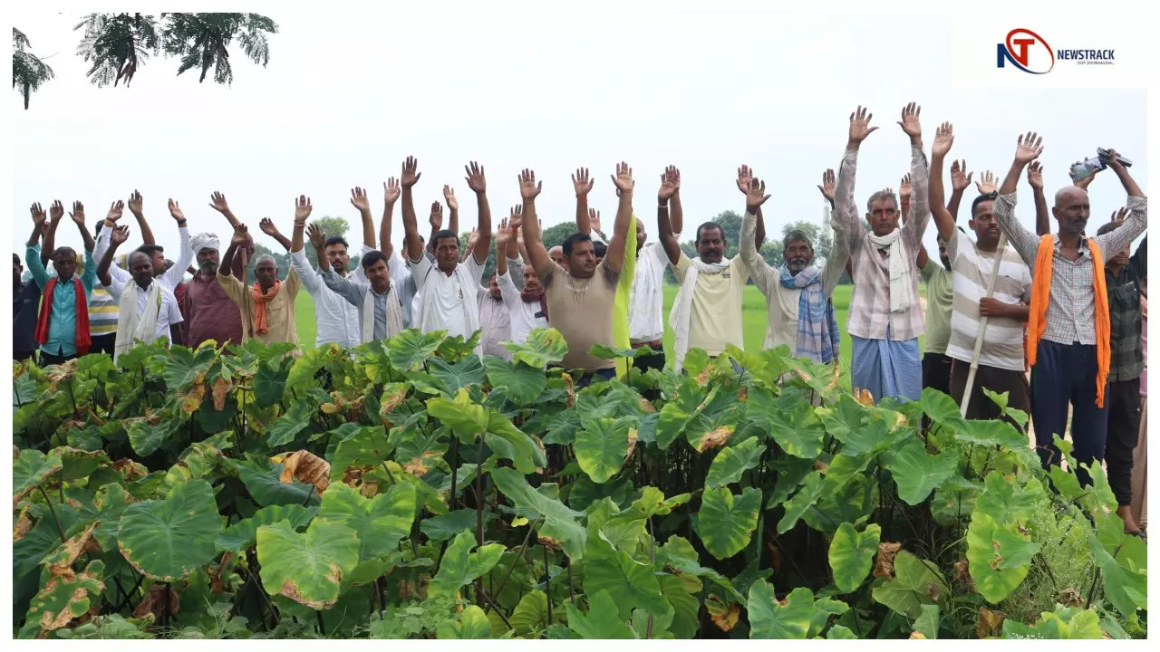 Chandauli News: धान के कटोरे के अन्नदाताओं के साथ छलावा, पूर्व विधायक को भी अधिकारी ने किया गुमराह,जानिए कैसे