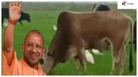 गो-सेवा से तरक्की करेगा यूपी ! गांव-गांव टेक्निकल सपोर्ट देगी पतंजलि, बदलेगा किसानों का जीवन गो-सेवा से तरक्की करेगा यूपी ! गांव-गांव टेक्निकल सपोर्ट देगी पतंजलि, बदलेगा किसानों का जीवन