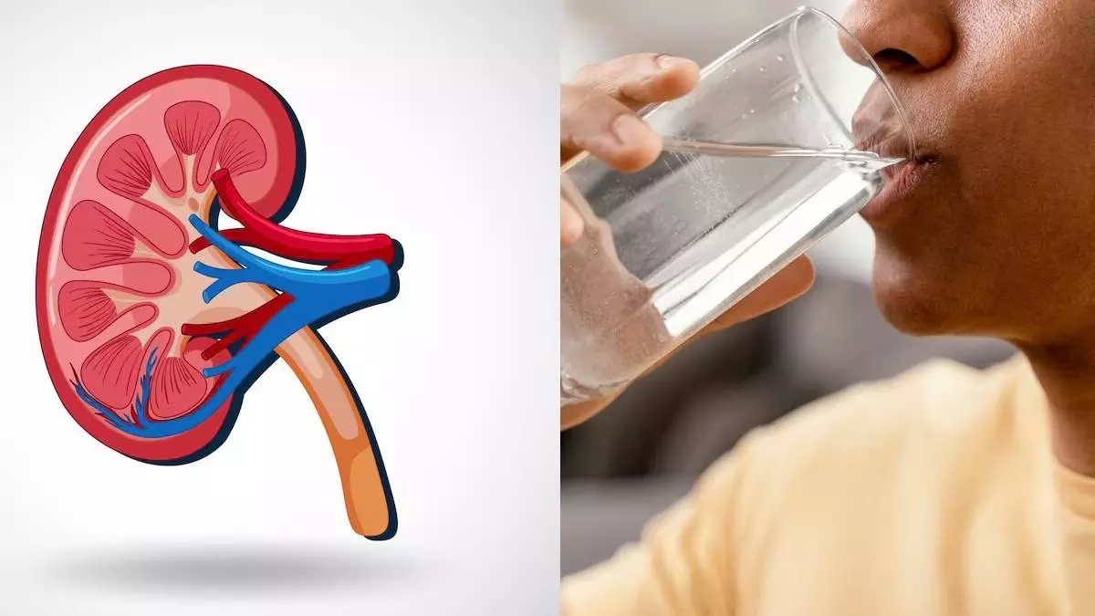 Kidney Health