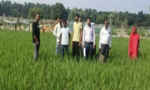 Gonda News: गुरेटी में दंपत्ति पर जानलेवा हमले में महिला को लगी गोली, पांच पर मुकदमा दर्ज