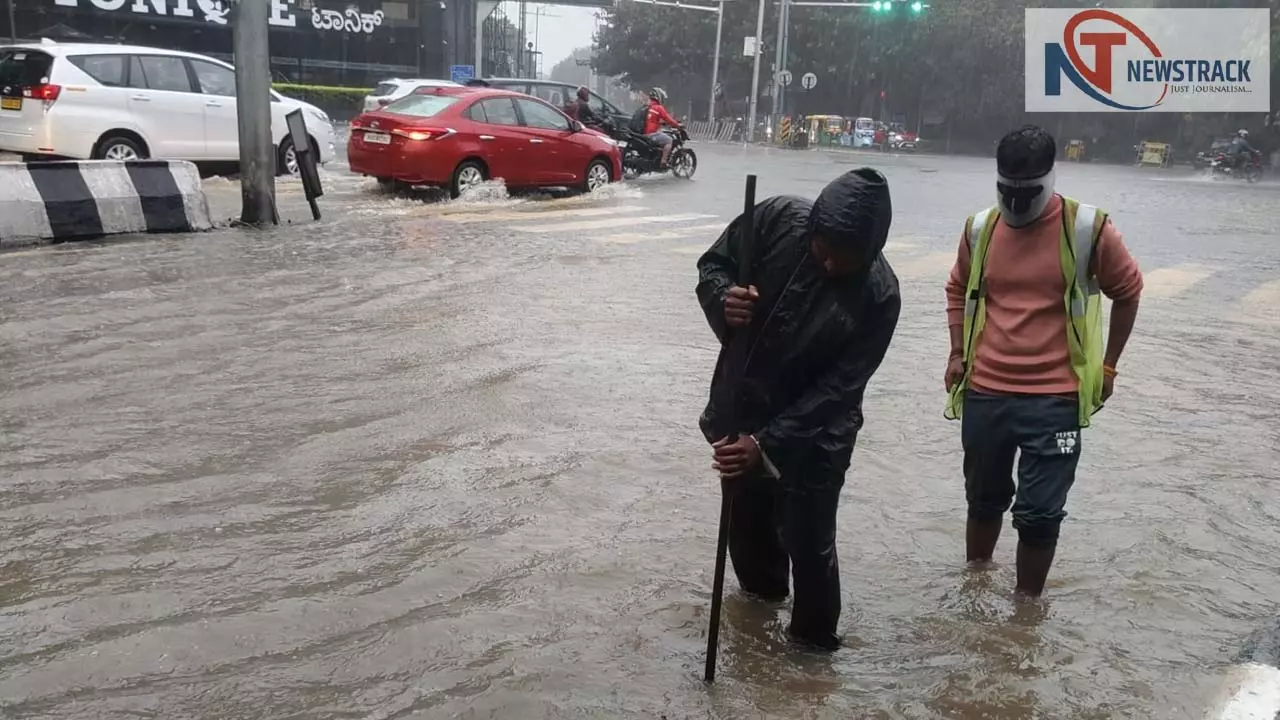 C&DS companies launch survey to make city roads flood-free