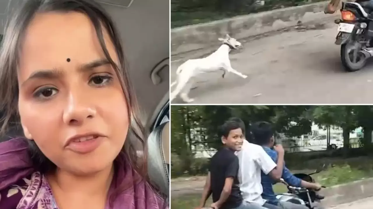 कुत्ते को रस्सी से बांधा... बाइक से कई किलोमीटर तक दौड़ाया! लखनऊ में पशु क्रूरता का हैरान कर देने वाला मामला, AASRA ने दी तहरीर